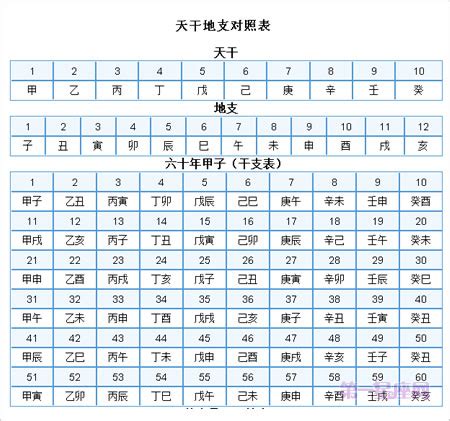 1982 天干地支|天干地支年份对照表